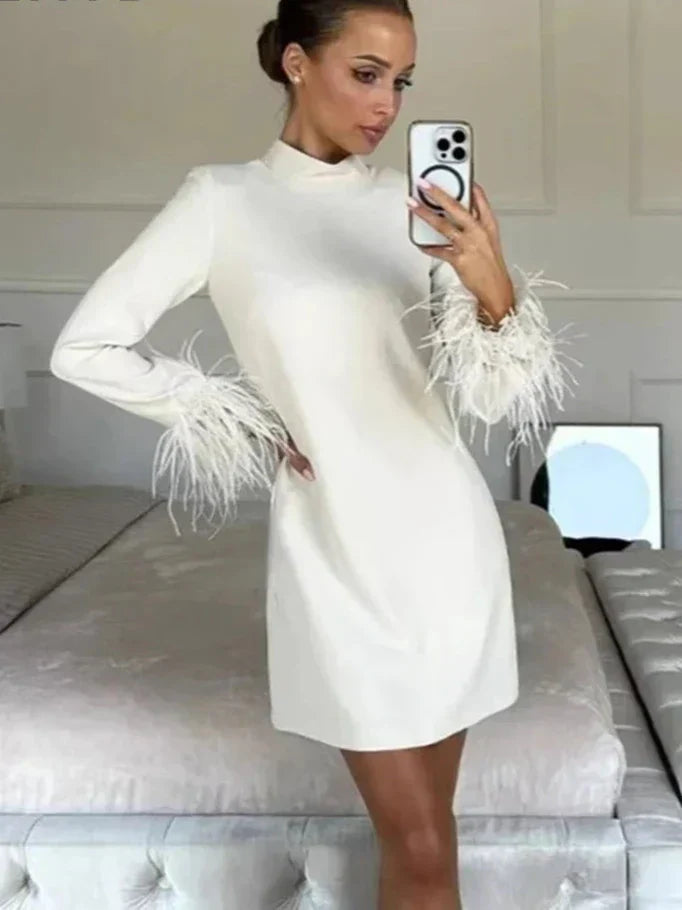 Hanne - Playful Mini Dress with Feather Accent